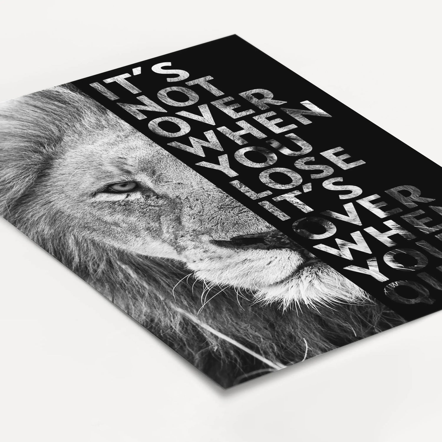 Motivation Poster 'Löwe'-famprints-Poster-Auf dem Motivation Poster 'Löwe' findest du das Foto von einem starken Löwen. Darüber befindet sich wahlweise in den Farbvarianten weiß oder schwarz der Schriftzug ' It's not over when you lose - It's over when yo