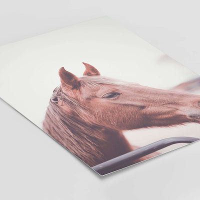 Pferde Poster No2 BF alt, Kinderposter, Neuheit Poster Größe: Digitaler Download, 13x18cm, 21x30cm, 30x40cm, 40x50cm, 50x70cm, 61x91cm famprints